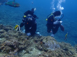 沖縄　ダイビング　青の洞窟　体験ダイビング