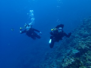 沖縄　ダイビング　青の洞窟　体験ダイビング