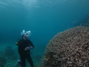 沖縄　ダイビング