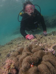 沖縄　ダイビング