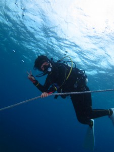 沖縄　ダイビング