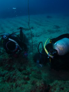 沖縄　ダイビング