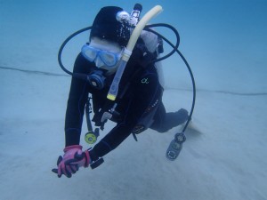 沖縄　ダイビング　崎本部　ＯＷＤ　ライセンス講習