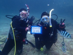 沖縄　ダイビング　崎本部　ＯＷＤ　ライセンス講習