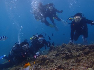 沖縄　ダイビング
