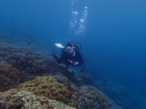 沖縄　ダイビング　FUNダイビング　砂辺