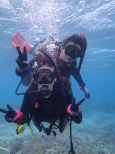 沖縄　ダイビング　崎本部