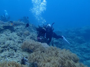 沖縄　ダイビング　近海ボート　FUN