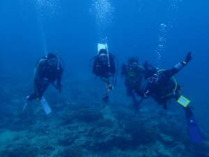 沖縄　ダイビング　近海ボート　FUN