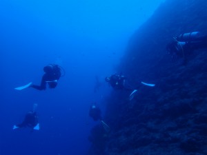 沖縄　ダイビング　万座
