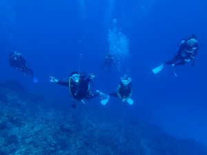 沖縄　ダイビング　慶良間　大晦日