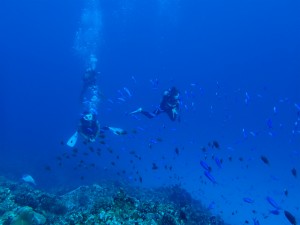 沖縄　ダイビング　慶良間　大晦日