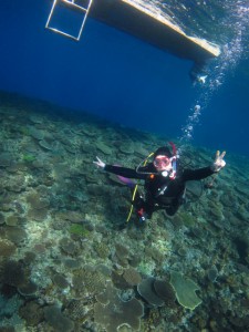 沖縄　ダイビング