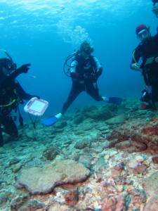 沖縄　ダイビング