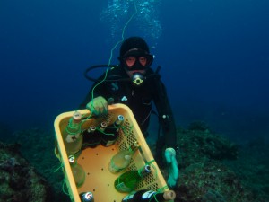 沖縄　ダイビング