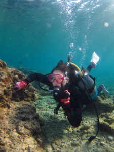 沖縄　体験ダイビング　砂辺