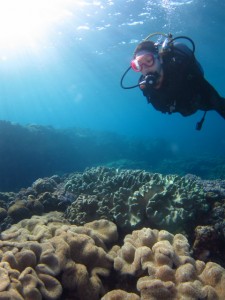 沖縄　体験ダイビング　砂辺