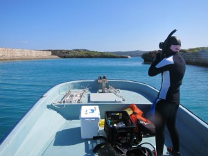 沖縄　ダイビング　貸切り