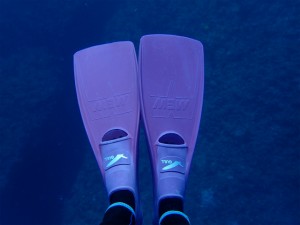 沖縄　ダイビング