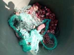 沖縄　ダイビング　慶良間　保全活動