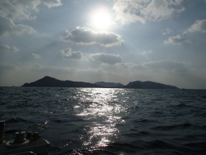 沖縄　ダイビング　渡名喜島　調査