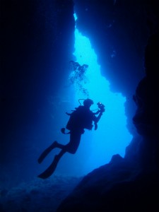 沖縄　ダイビング　渡名喜島　調査