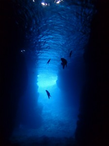 沖縄　ダイビング　AOW　講習