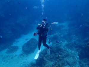 沖縄　ダイビング　AOW　講習
