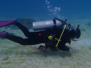 沖縄　ダイビング　AOW講習