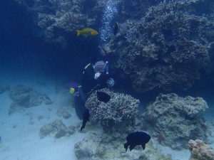 沖縄　ダイビング　AOW講習