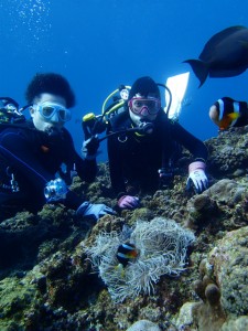 沖縄　ダイビング　体験　青の洞窟　真栄田岬