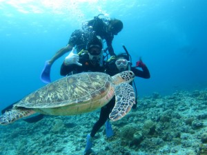 沖縄　体験ダイビング　ウミガメと泳ごう