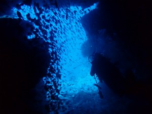 沖縄　ダイビング　ナイトダイビング　ＡＯＷ