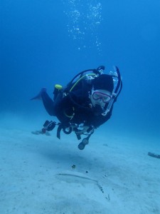 沖縄　ダイビング　ナイトダイビング　ＡＯＷ