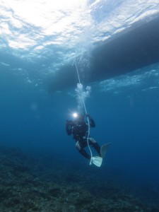 沖縄　ダイビング　