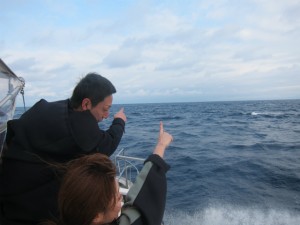 沖縄　体験ダイビング　慶良間　クジラ