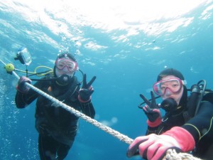 沖縄　ダイビング　慶良間　FUN　体験
