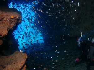 沖縄　ダイビング