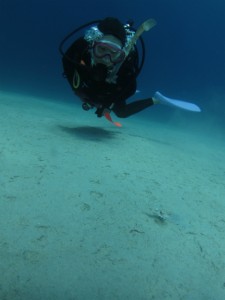 沖縄　ダイビング　ウミテング