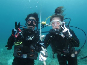 沖縄　体験ダイビング　慶良間