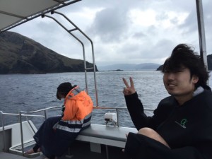 沖縄　ダイビング　慶良間