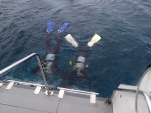 沖縄　ダイビング　慶良間　体験ダイビング