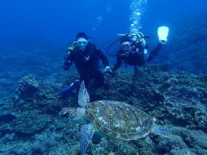 沖縄　ダイビング　慶良間　体験ダイビング