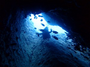 沖縄　ダイビング　万座　FUNダイビング