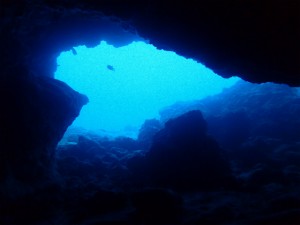 沖縄　ダイビング　万座　FUNダイビング