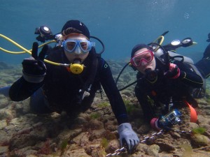 沖縄　ダイビング　砂辺　体験ダイビング