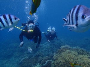 沖縄　ダイビング　砂辺　体験ダイビング