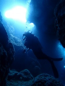 沖縄　ダイビング　慶良間　FUN　体験