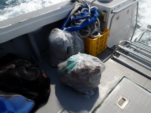 沖縄　ダイビング　慶良間　保全活動