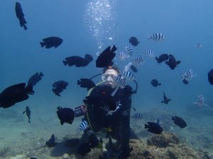 沖縄　ダイビング　砂辺　FUN